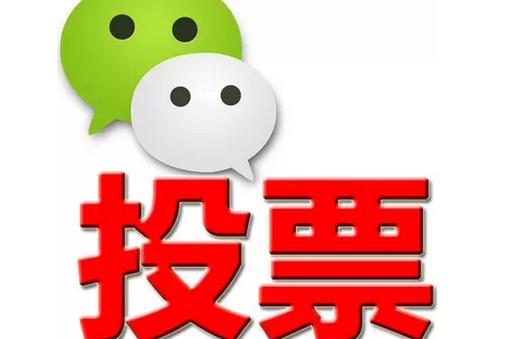 宁波市微信投票功能开发 上传图片投票